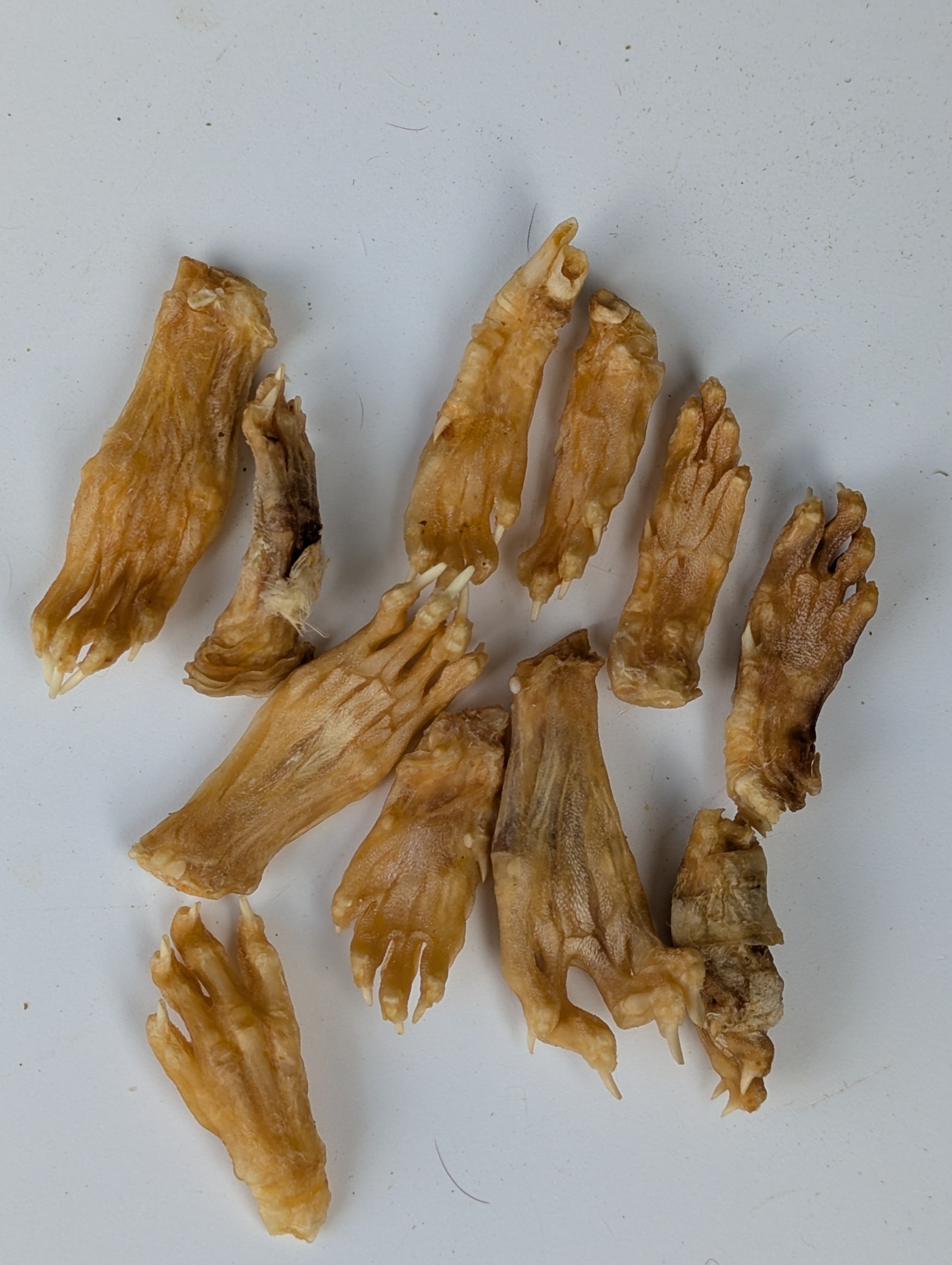 Rabbit Feet without Fur