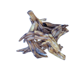 Duck Feet
