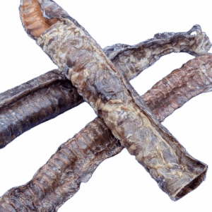 Trachea