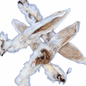 Rabbit Ears With Fur